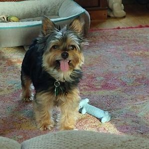 Meet your Posher, Beverly